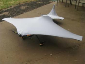 planewrapper-silver01-350.jpg