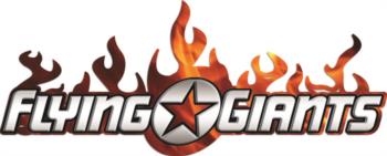Flying Giants Flame rc digital decal