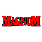 Magnum Decal