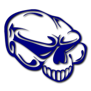 Skull 3 Decal