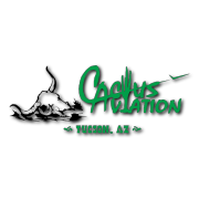 Cactus Aviation Decal