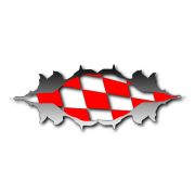 checker Rip Decal