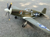 P51 fighter with some custom decals
